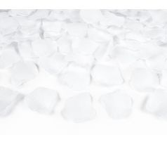 Vystřelovací konfety