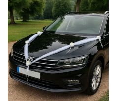 Girlanda na auto 2x1,8 m bílá s krémovými růžičkami