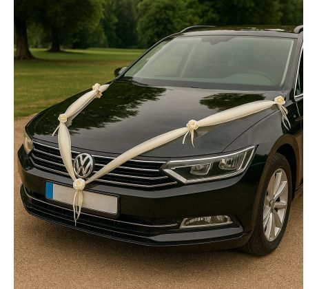 Girlanda na auto 2x1,8 m krémová