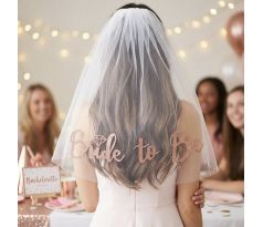 Závoj pro nevěstu na rozlučku se svobodou